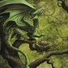 Eastgate Anne Stokes Forest Dragon Card Cards And Wrapping Paper