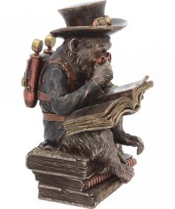 Nemesis Now Steampunk Chimpanzee Scholar Steampunk Homeware 14 Nemesis Now Steampunk Chimpanzee Scholar Steampunk Homeware