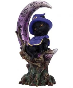 Nemesis Now All Homeware Grimalkin Witches Cat