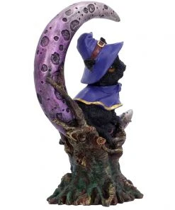 Nemesis Now All Homeware Grimalkin Witches Cat