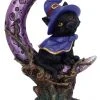 Nemesis Now All Homeware Grimalkin Witches Cat
