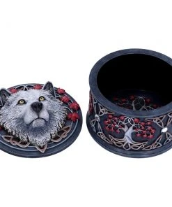 Nemesis Now Lisa Parker Guardian Of The Fall Box