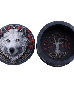 Nemesis Now Lisa Parker Guardian Of The Fall Box