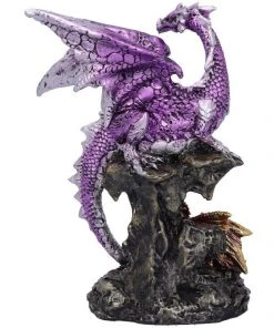 Nemesis Now Hatchling Protection Dragon All Homeware