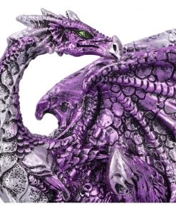 Nemesis Now Hatchling Protection Dragon All Homeware