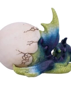 Nemesis Now All Homeware Hatchling's Rest Dragon