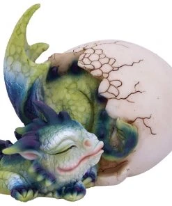Nemesis Now All Homeware Hatchling's Rest Dragon