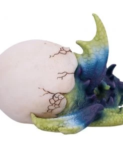 Nemesis Now All Homeware Hatchling's Rest Dragon