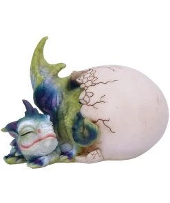Nemesis Now All Homeware Hatchling's Rest Dragon