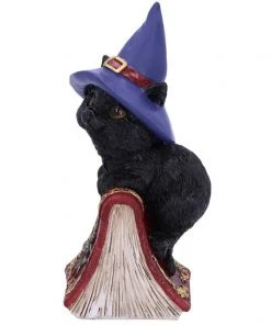 Nemesis Now Hocus Cat Figurine 10 Nemesis Now Hocus Cat Figurine