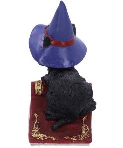 Nemesis Now Hocus Cat Figurine 11 Nemesis Now Hocus Cat Figurine