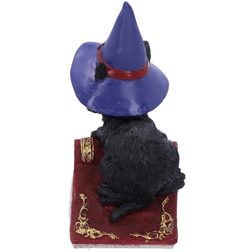 Nemesis Now Hocus Cat Figurine 5 Nemesis Now Hocus Cat Figurine