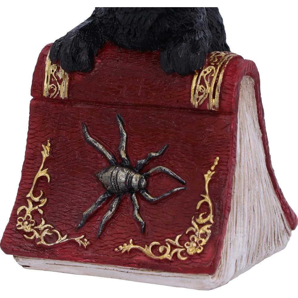 Nemesis Now Hocus Cat Figurine 7 Nemesis Now Hocus Cat Figurine