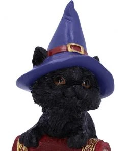 Nemesis Now All Homeware Hocus Pocus And Binx