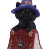 Nemesis Now Hocus Cat Figurine