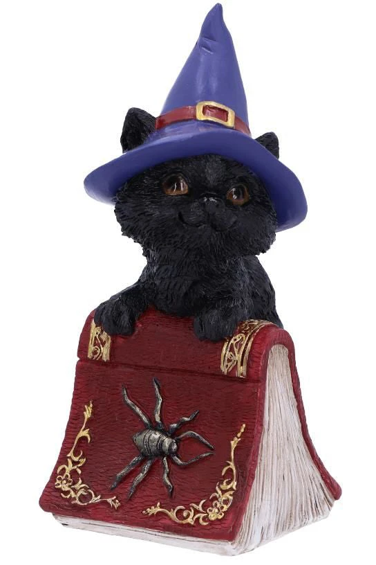 Nemesis Now Hocus Cat Figurine 3 Nemesis Now Hocus Cat Figurine