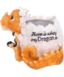 Nemesis Now All Homeware Home Is Where My Dragon Is Pot