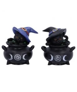 Nemesis Now Hubble And Bubble Witches Cats All Homeware