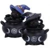Nemesis Now Hubble And Bubble Witches Cats All Homeware