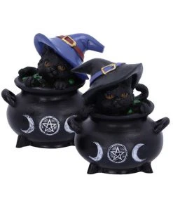 Nemesis Now Hubble And Bubble Witches Cats All Homeware