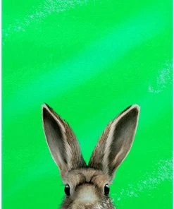 Grind Dining & Barware Inquisitive Creatures Hare Glass Chopping Board