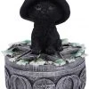 Nemesis Now Ivy Familiar Cat Box All Homeware