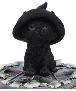 Nemesis Now Ivy Familiar Cat Box All Homeware