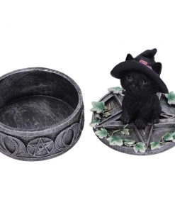 Nemesis Now Ivy Familiar Cat Box All Homeware