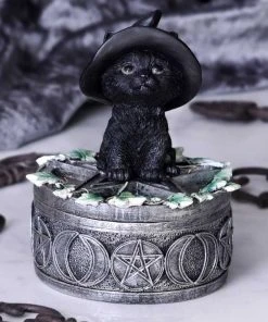 Nemesis Now Ivy Familiar Cat Box All Homeware