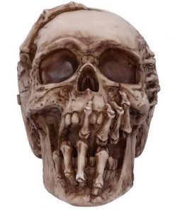 Nemesis Now James Ryman Breaking Out Skull All Homeware