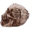 Nemesis Now James Ryman Breaking Out Skull All Homeware