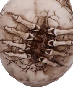 Nemesis Now James Ryman Breaking Out Skull All Homeware