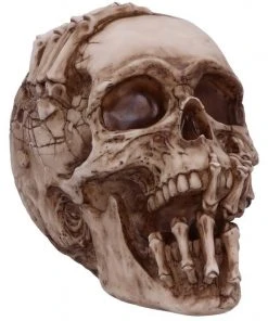 Nemesis Now James Ryman Breaking Out Skull All Homeware