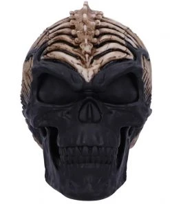 Nemesis Now James Ryman Spine Head Skull