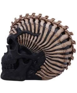 Nemesis Now James Ryman Spine Head Skull