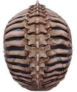 Nemesis Now James Ryman Spine Head Skull