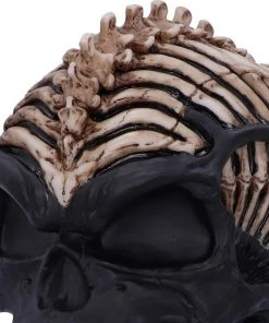 Nemesis Now James Ryman Spine Head Skull