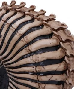 Nemesis Now James Ryman Spine Head Skull