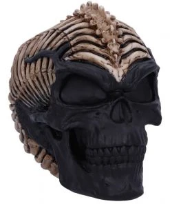 Nemesis Now James Ryman Spine Head Skull
