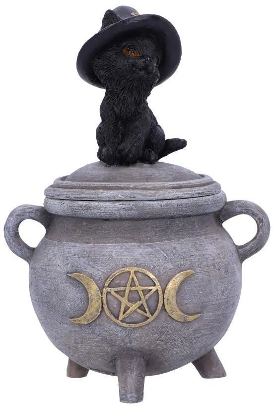 Nemesis Now Kitty's Brew Cat Cauldron Box 4 Nemesis Now Kitty's Brew Cat Cauldron Box