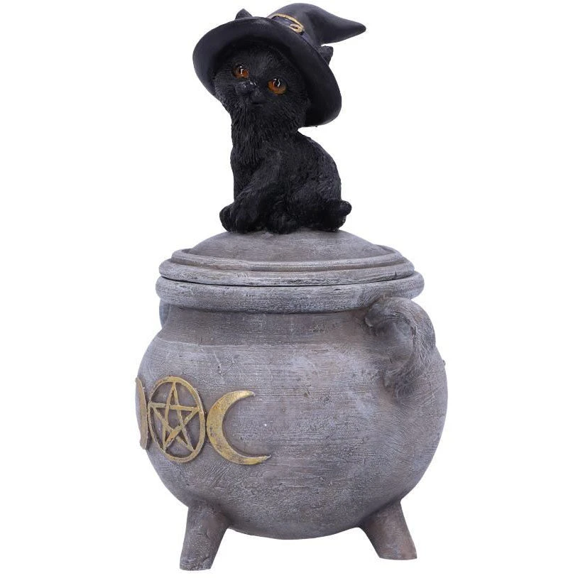 Nemesis Now Kitty's Brew Cat Cauldron Box 5 Nemesis Now Kitty's Brew Cat Cauldron Box