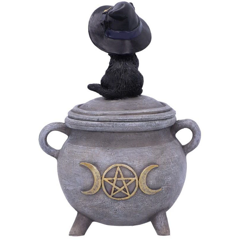 Nemesis Now Kitty's Brew Cat Cauldron Box 6 Nemesis Now Kitty's Brew Cat Cauldron Box