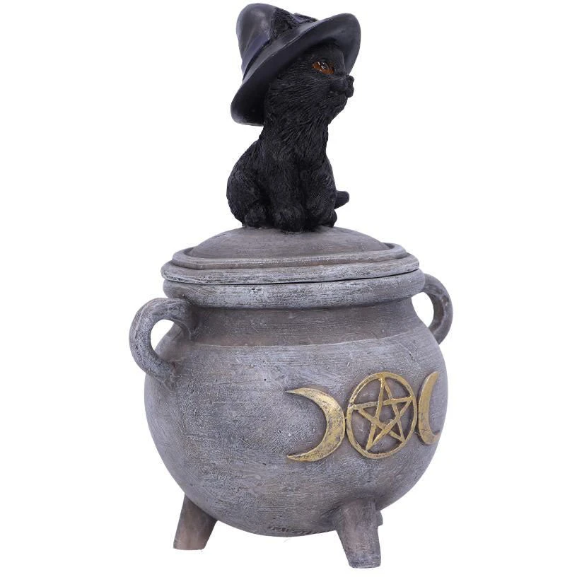Nemesis Now Kitty's Brew Cat Cauldron Box 7 Nemesis Now Kitty's Brew Cat Cauldron Box