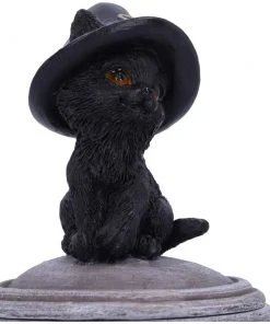 Nemesis Now Kitty's Brew Cat Cauldron Box 15 Nemesis Now Kitty's Brew Cat Cauldron Box