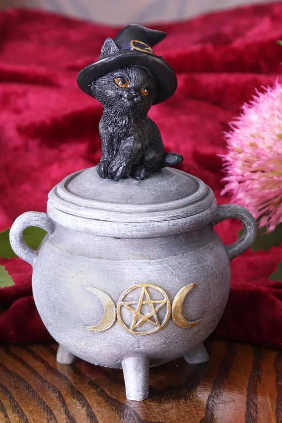 Nemesis Now Kitty's Brew Cat Cauldron Box 3 Nemesis Now Kitty's Brew Cat Cauldron Box