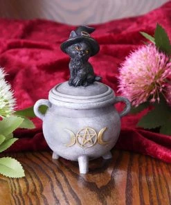 Nemesis Now Kitty's Brew Cat Cauldron Box 17 Nemesis Now Kitty's Brew Cat Cauldron Box