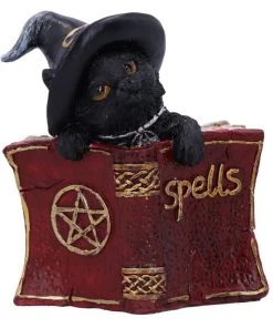 Nemesis Now All Homeware Kitty's Grimoire Cat Red