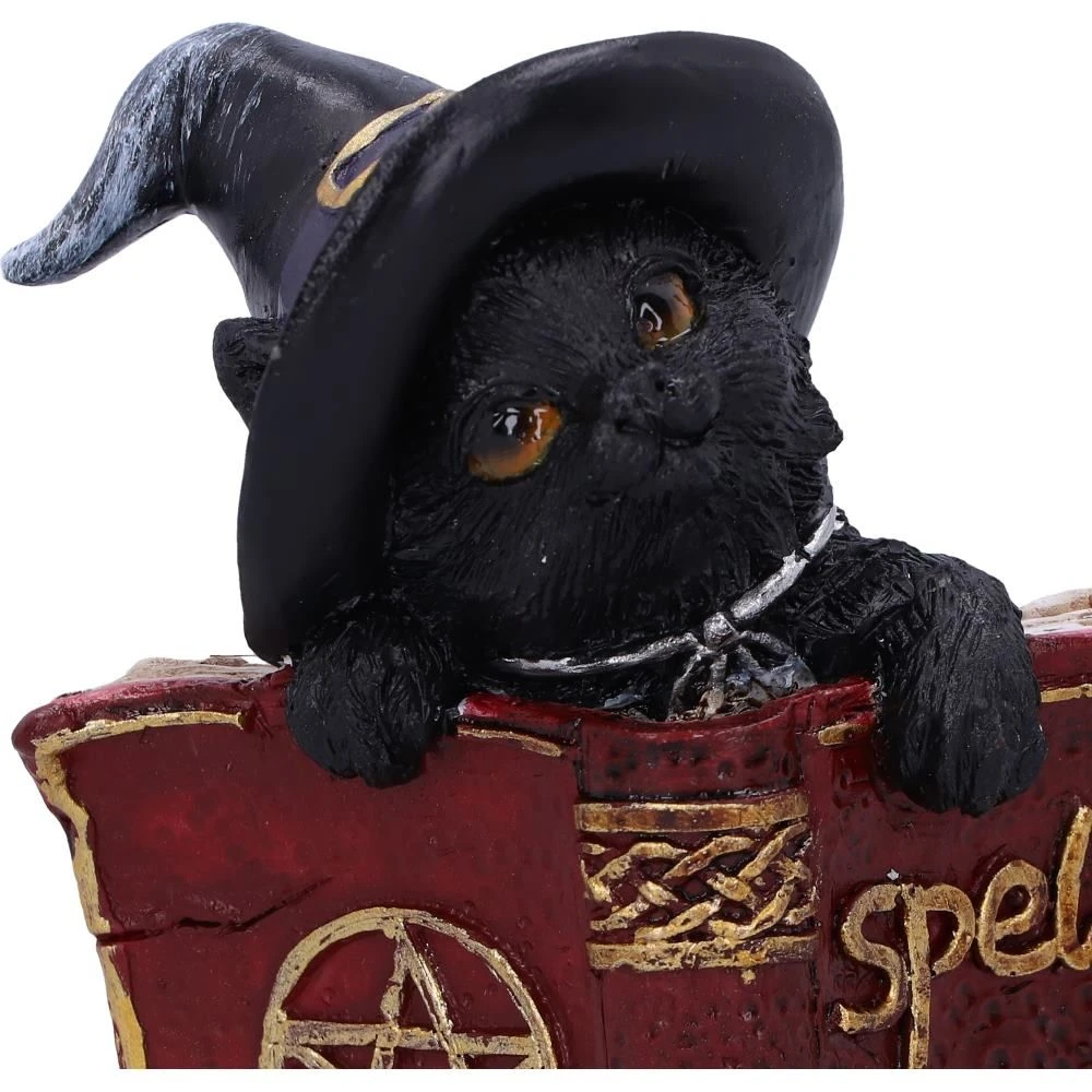 Nemesis Now All Homeware Kitty's Grimoire Cat Red 7 Nemesis Now All Homeware Kitty's Grimoire Cat Red