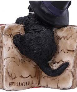 Nemesis Now All Homeware Kitty's Grimoire Cat Red 15 Nemesis Now All Homeware Kitty's Grimoire Cat Red