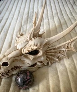 Nemesis Now All Homeware The Last Dragon Skull 32cm